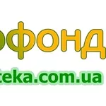 куплю зернозавантажник в Рівненскьій області