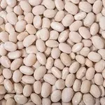 Насіння квасолі. Доставка. Форвардні контракти