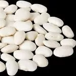 Закупівля квасолі для консервного виробництва