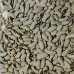 Посівмат квасолі Ред Кідні,   Червона Шапочка,  Неві Бінс,  Пінто 