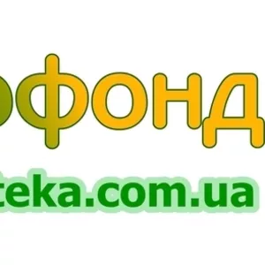 куплю зернозавантажник в Рівненскьій області