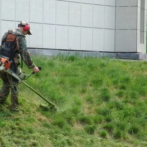 Послуги стрижки газонів,  скошування трави. Рівне