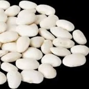 Закупівля квасолі для консервного виробництва