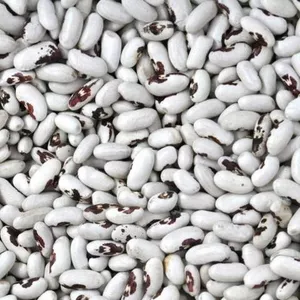 Продаж сортової квасолі з доставкою по Україні та на експорт