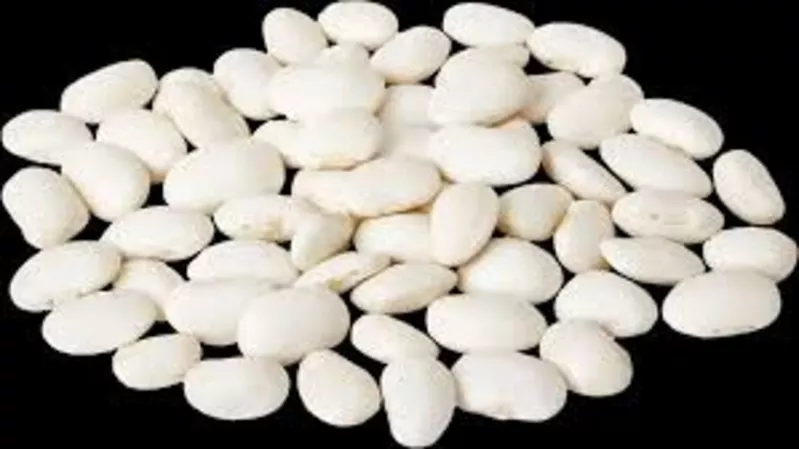 Закупівля квасолі для консервного виробництва